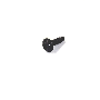 N10752901 Body B-Pillar Trim Panel Screw (Upper)